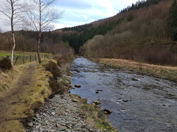 National Trust - Hafod Estate 4