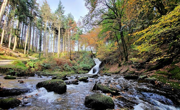 National Trust - Hafod Estate 2