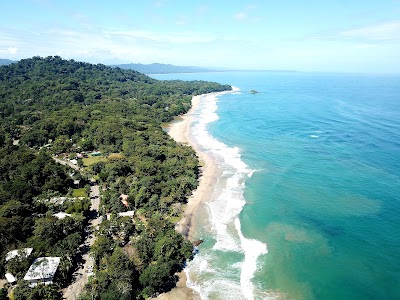 Playa Cocles 2
