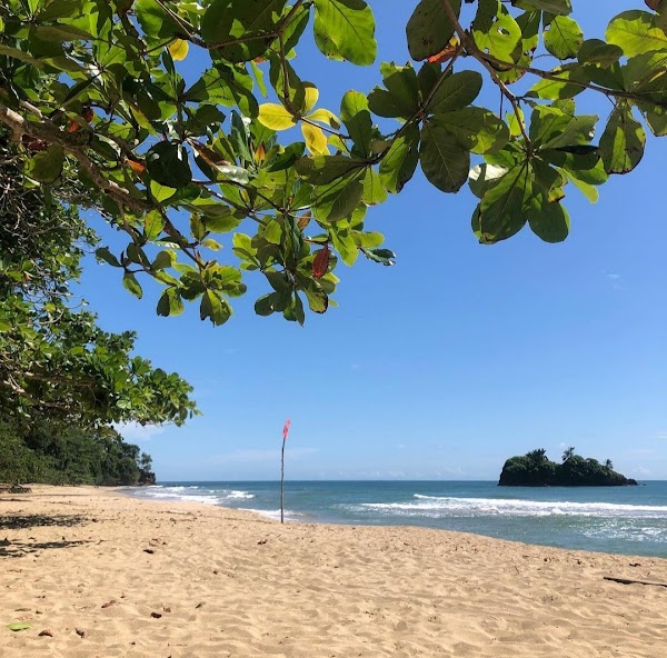 Playa Cocles 6
