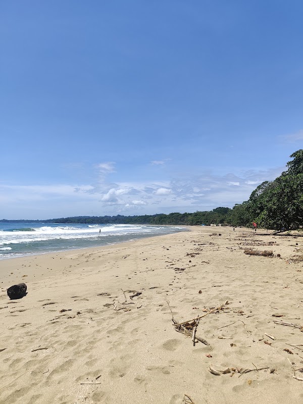 Playa Cocles 4