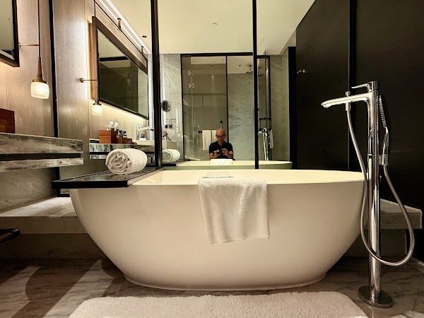 Shanghai InterContinental Wonderland 3