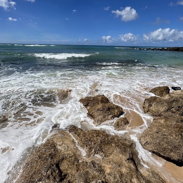 Laniakea Beach 2