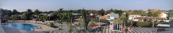 Saly