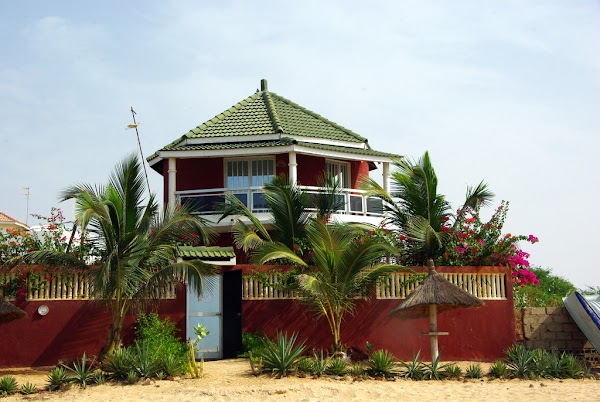 Saly 3