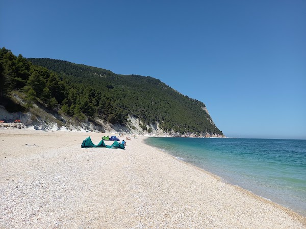 Le Marche  16