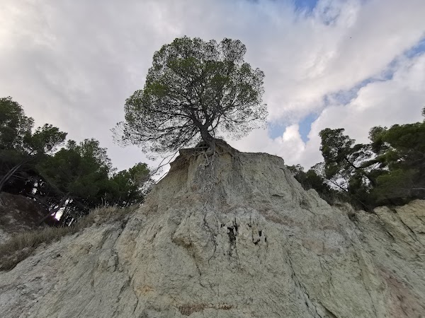 Sassi Neri 3