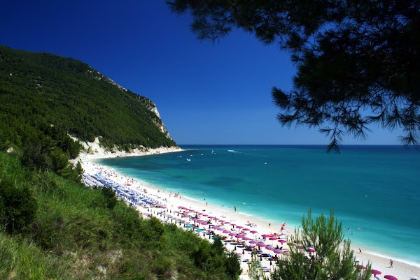 Le Marche  47