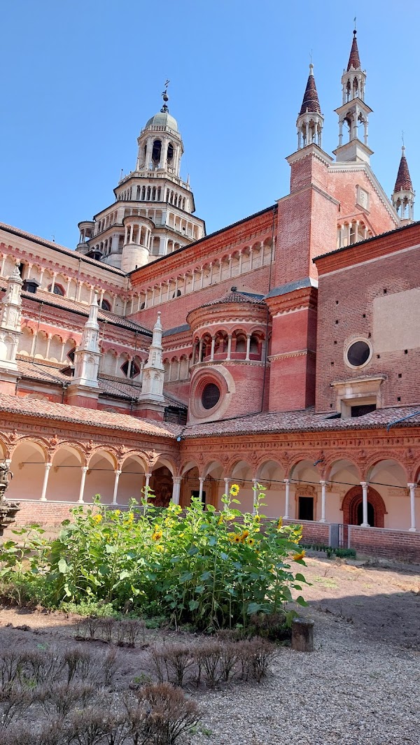 Pavia