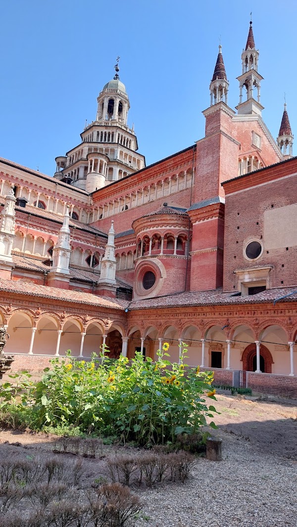 Pavia 5