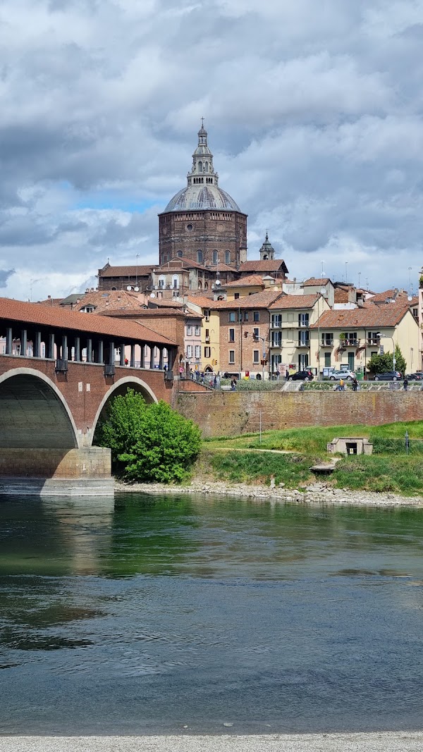 Pavia 4