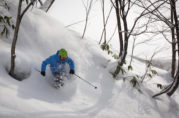 Explore Niseko & the Local Wine bar 1