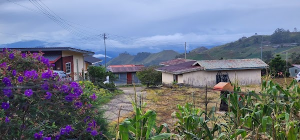 Kundasang