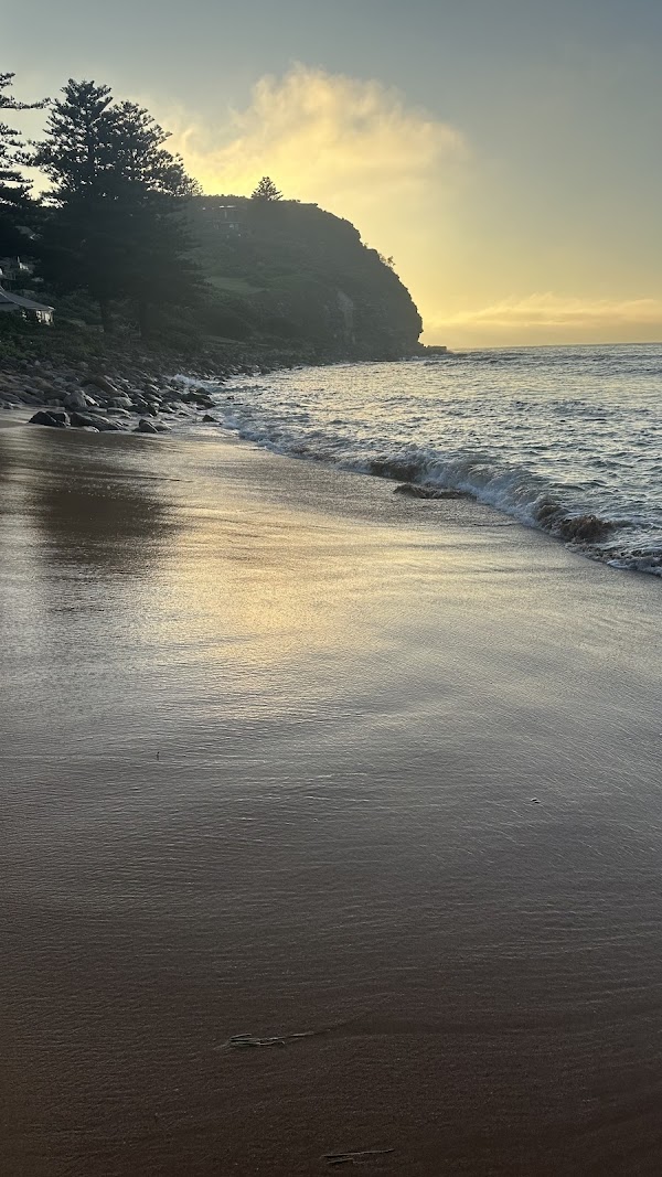 Avalon Beach
