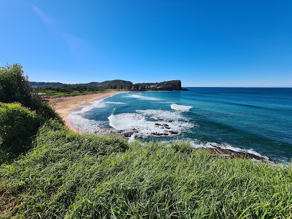 Avalon Beach 5