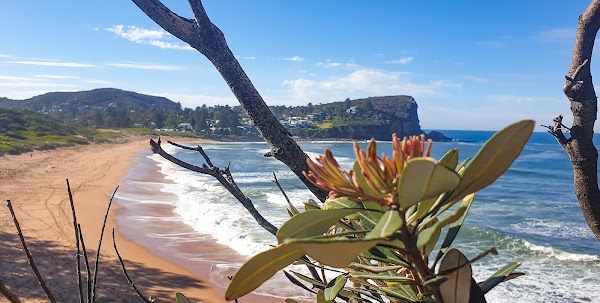 Avalon Beach 4