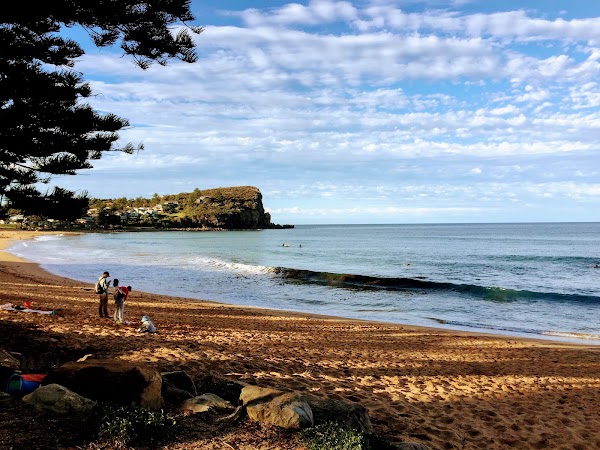 Avalon Beach 2