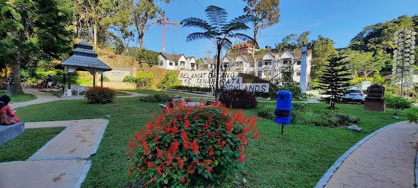 Tanah Rata 3