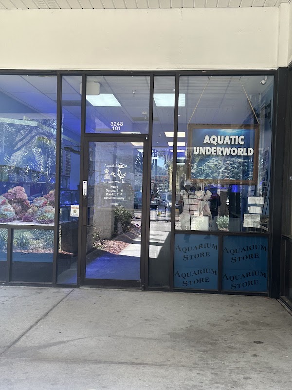 Aquatic Underworld 1