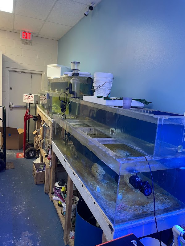 Aquatic Underworld 4