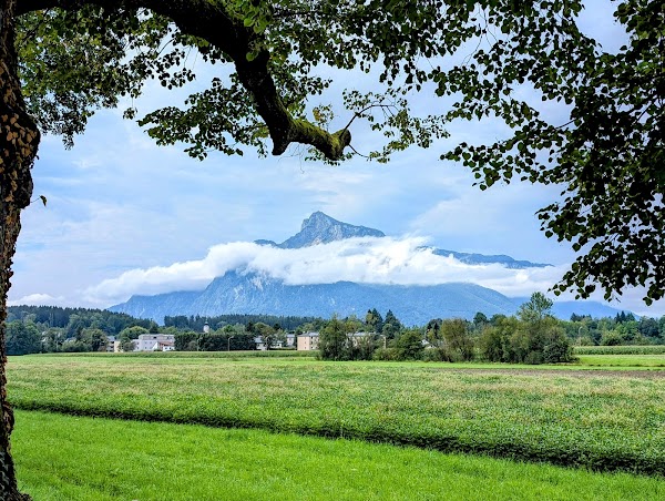 Frohnburg Castle 4