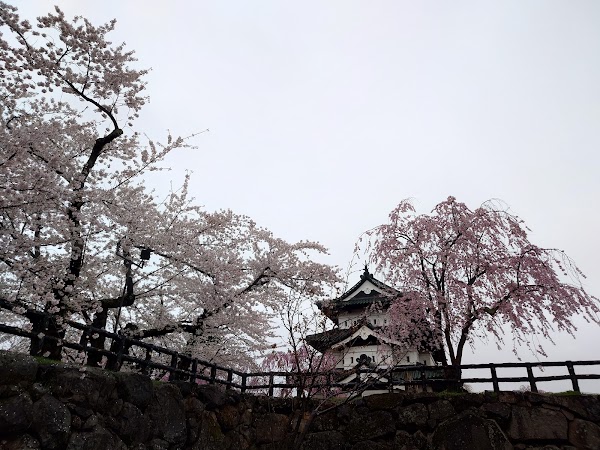 Hirosaki Park 1