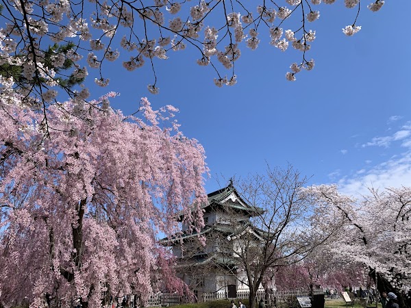 Hirosaki Park 5