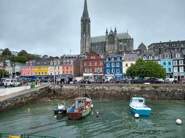 Cork 5