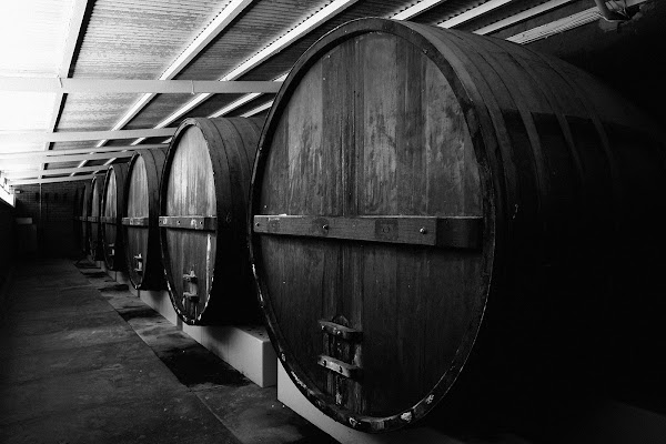 Winery Tours Hawke's Bay 1