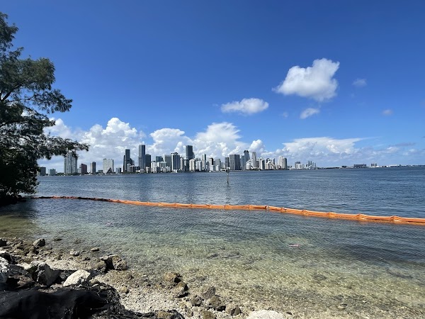 Miami Skyline View 1
