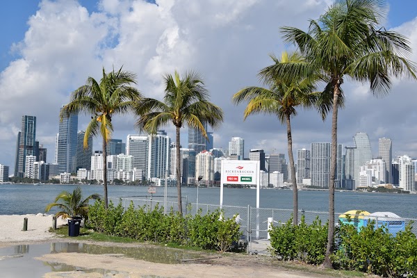 Miami Skyline View 4