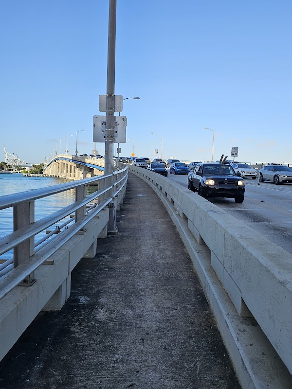 Miami Skyline View 3