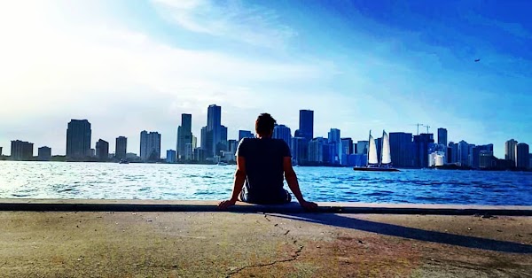 Miami Skyline View 2