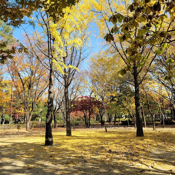 Dosan Park 3