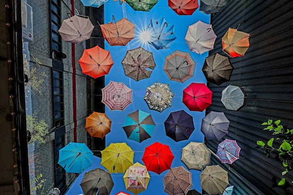 Regenschirm Strasse 2