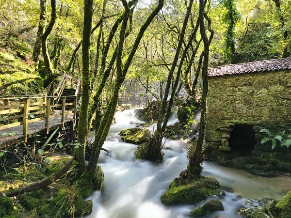 Fervenza de Raxoi