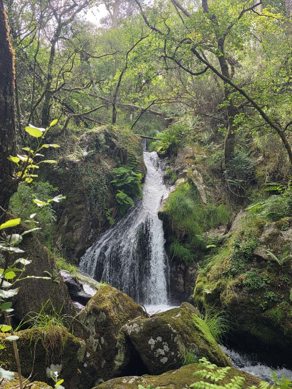 Fervenza de Raxoi 5