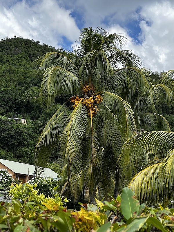 Anse Royale 3