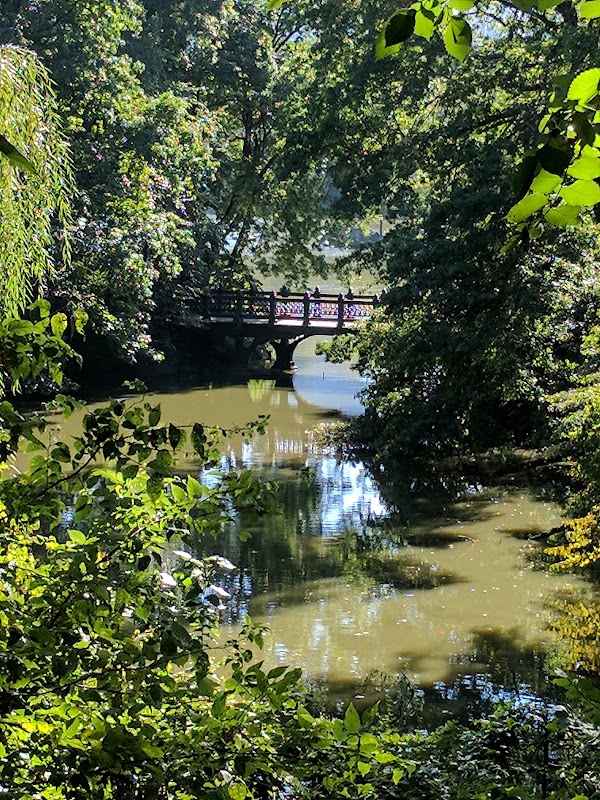 Oak Bridge 5