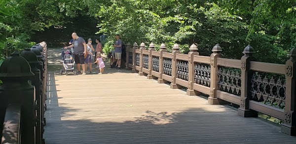Oak Bridge 4