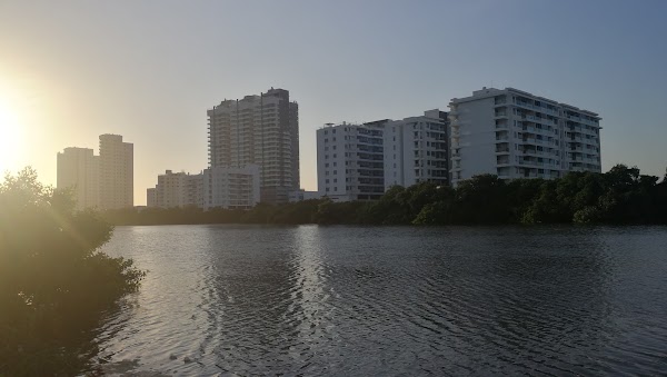 Columbia 31