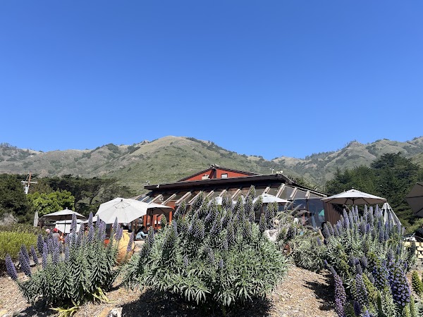 The Restaurant at Ragged Point 2