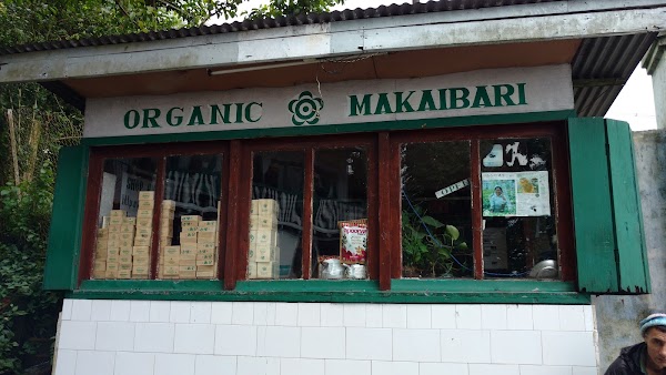 Makaibari Tea Estates Factory 1