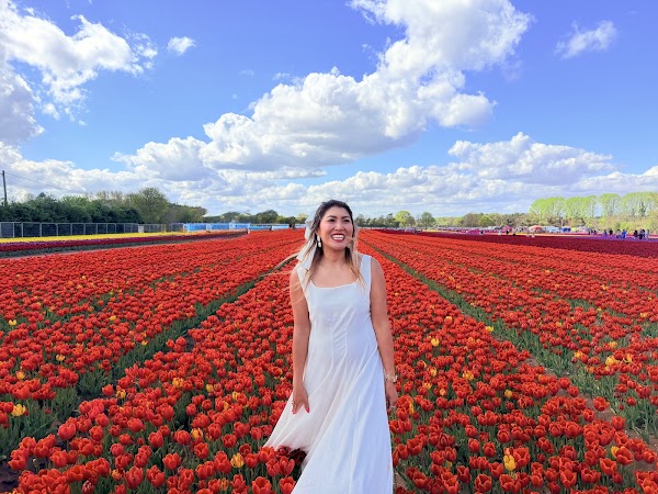 Norfolk Tulip Garden