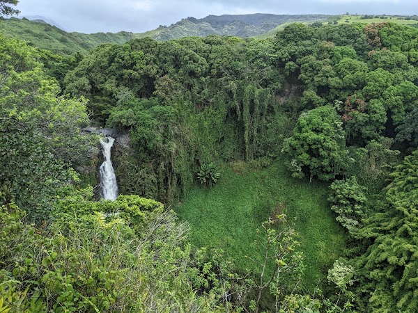 Pipiwai Trail 5