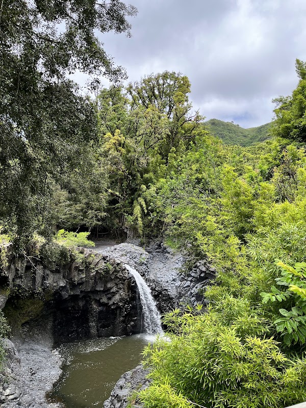 Pipiwai Trail 3
