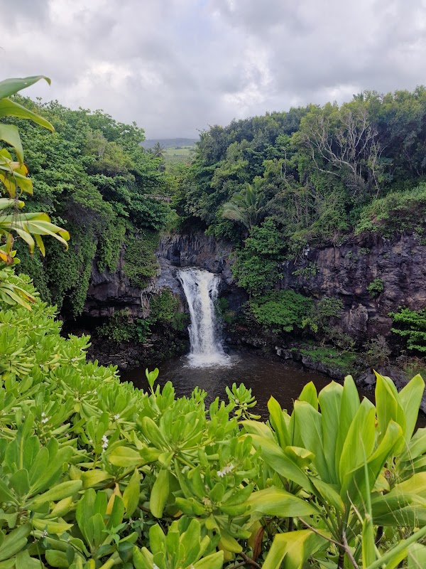 Pipiwai Trail 2