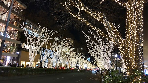 Omote-Sando Avenue