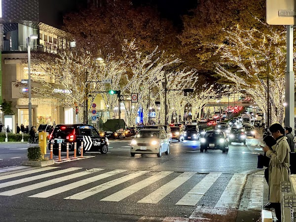 Omote-Sando Avenue 5