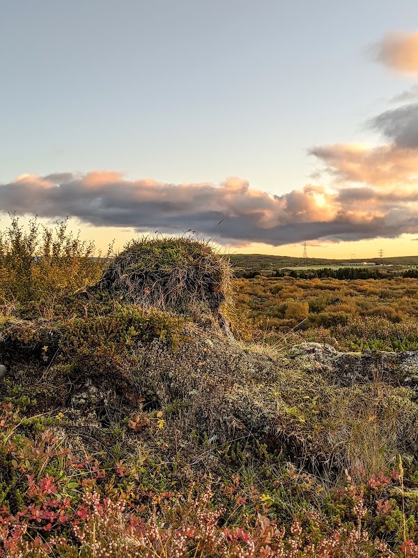 Heiðmörk